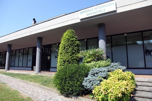 Facciata esterna dell'Ospedale