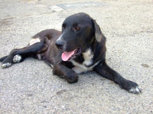 nerone2