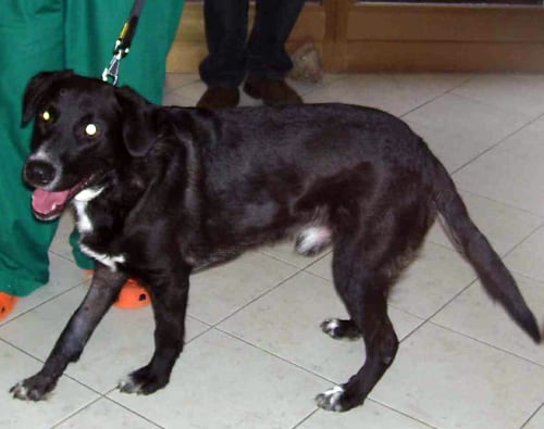 nerone7