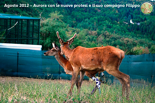 Aurora con le sue nuove protesi accanto al compagno Filippo